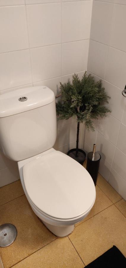 Orlando - Tenerife Sur Apartment *